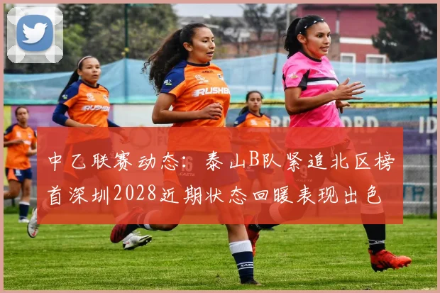 中乙联赛动态：泰山B队紧追北区榜首深圳2028近期状态回暖表现出色