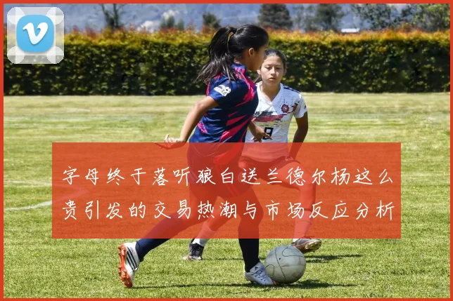 字母终于落听狼白送兰德尔杨这么贵引发的交易热潮与市场反应分析